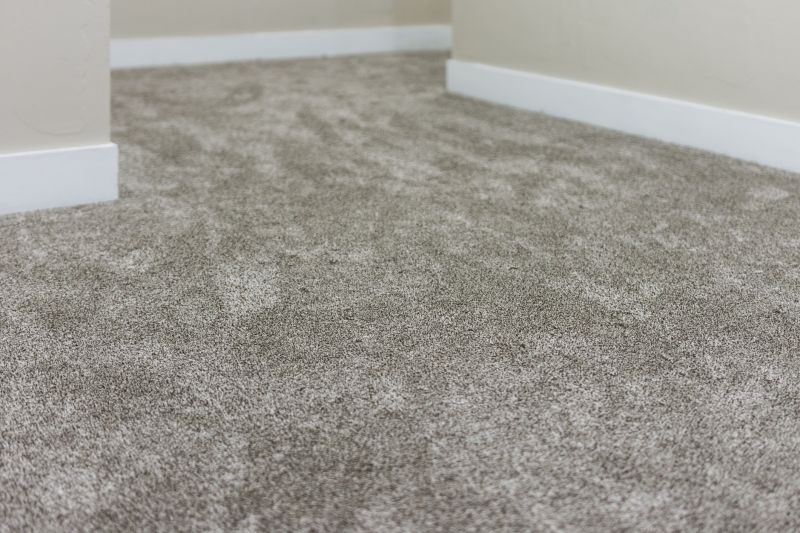 Residential Carpet Care